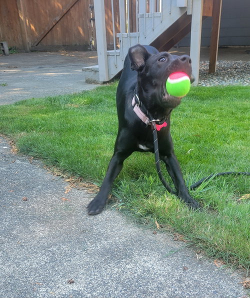 Photo 5 of Sassy