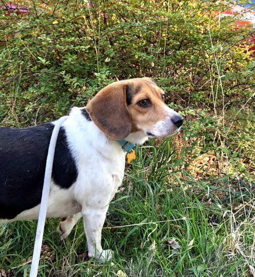 Photo 5 of Sophie