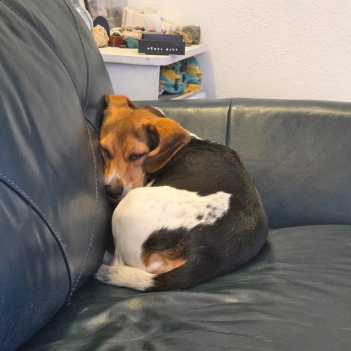 Photo 4 of Sophie