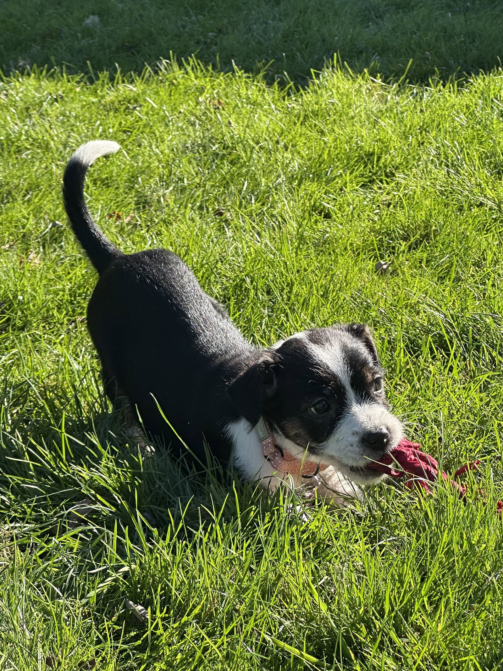 Delia, photo 4