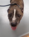 ZEUS - Photo 1