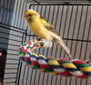 Sunny