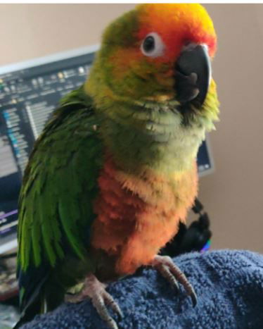 Spanky