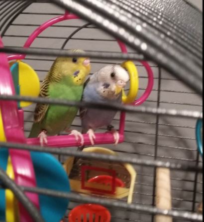 Squeaks & Sprite