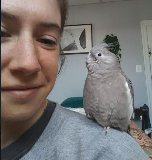 Luna