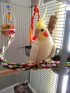 Charlie