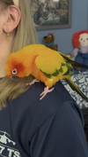 Milo