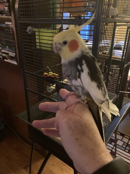 Carlos