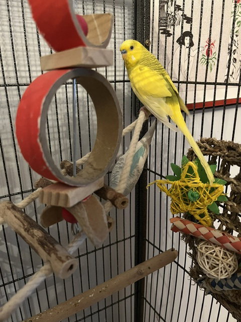 Arie & Blue, photo 7