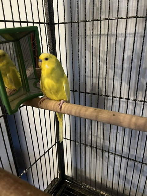Arie & Blue, photo 8