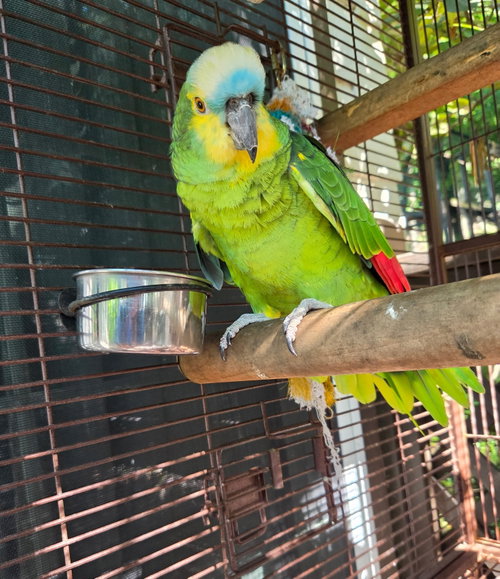 Photo 2 of Kita