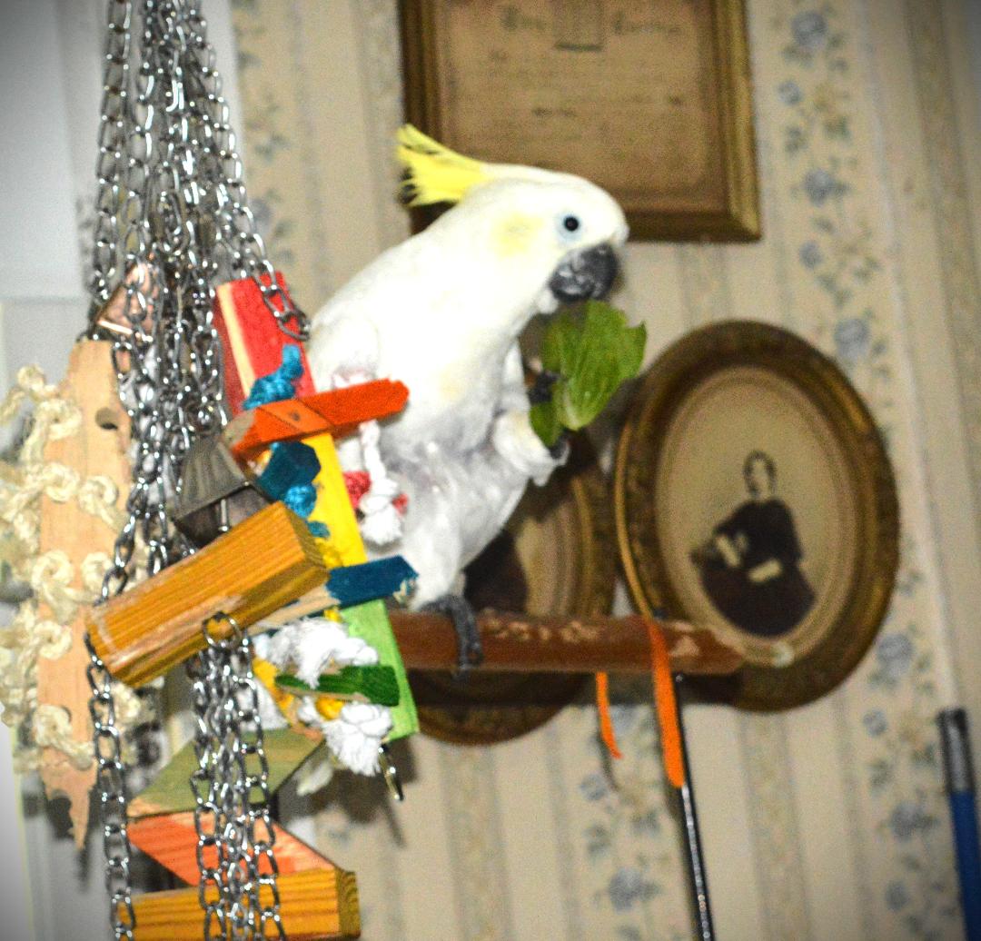 Frisky, photo 3
