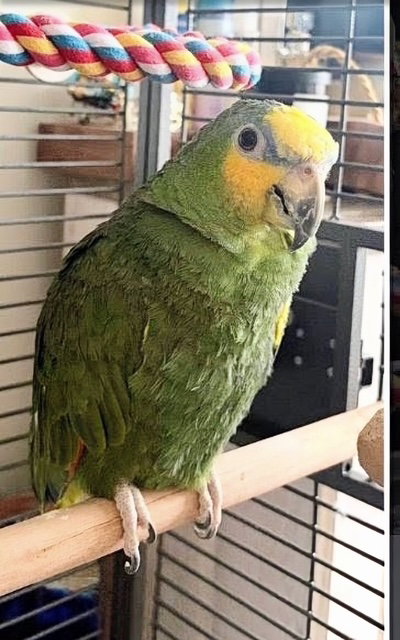 Photo 2 of Bumber