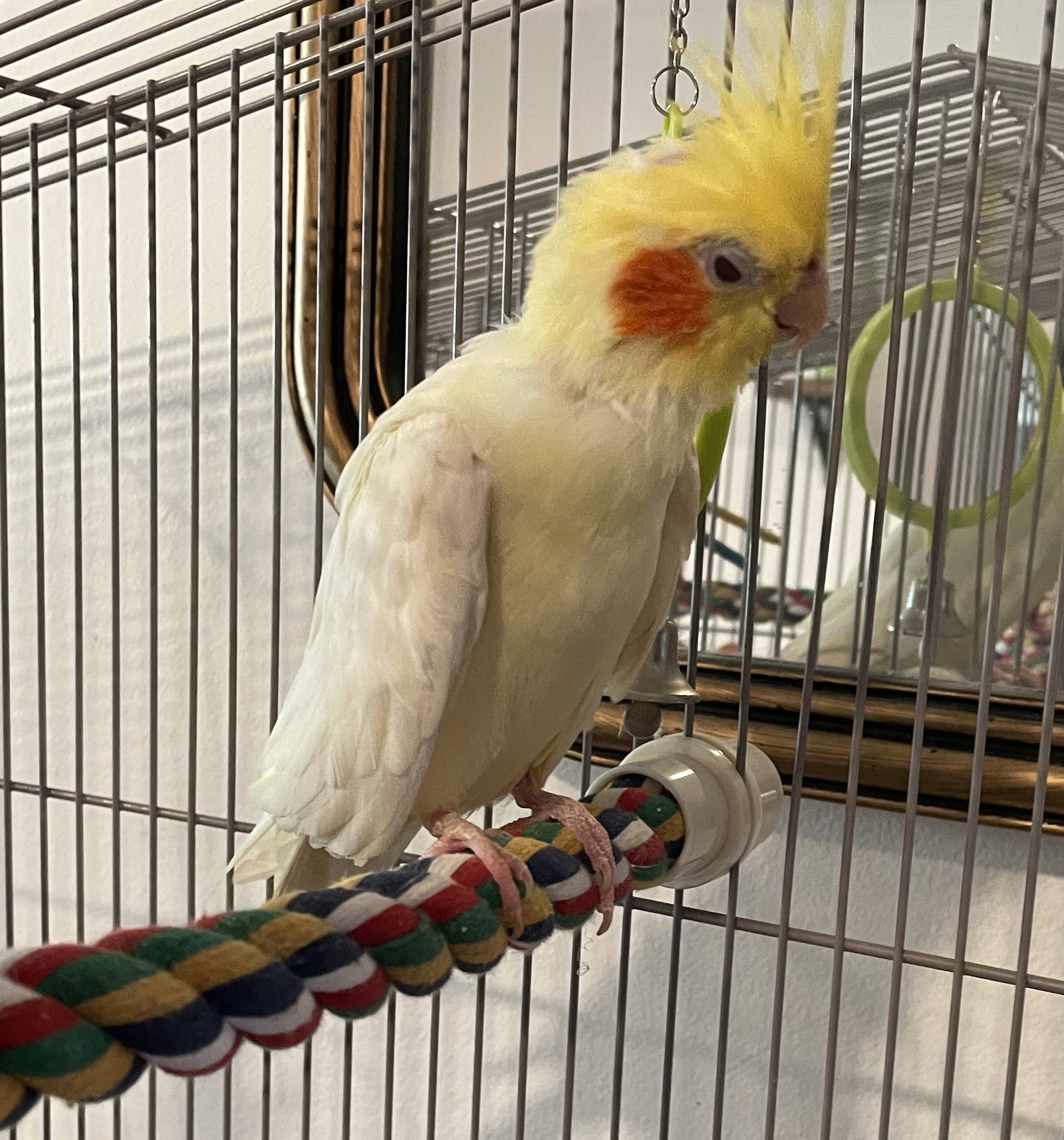 Tiky, photo 2