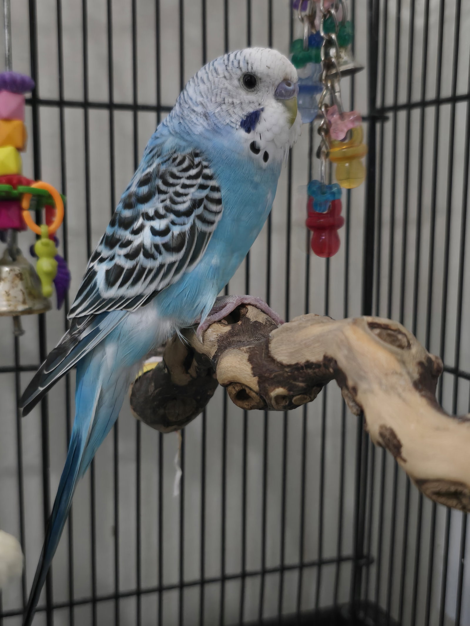 Journey, photo 2