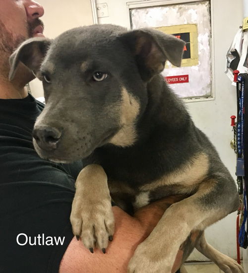 Outlaw