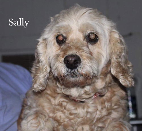 Sally