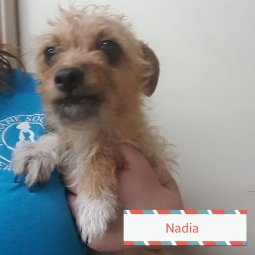 Nadia