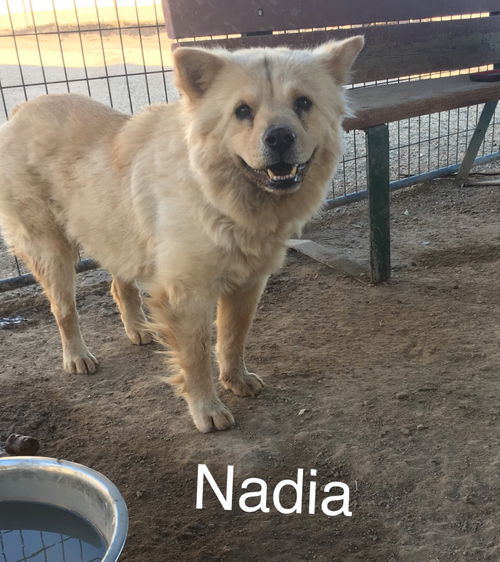 Nadia/Chia