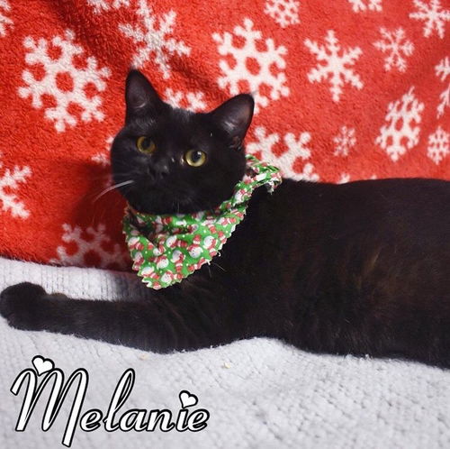 Melanie