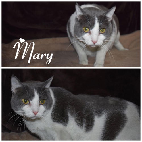 Mary