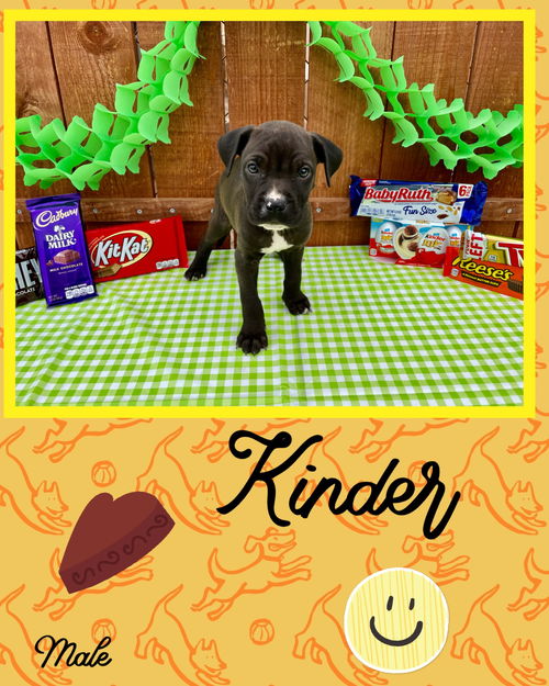 Kinder