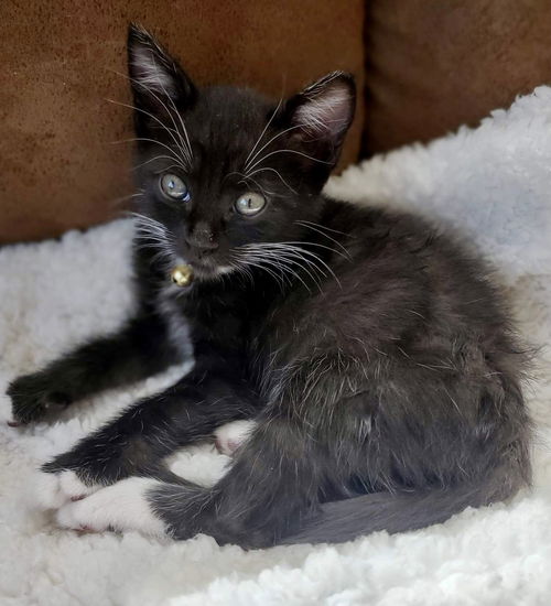 Matilda