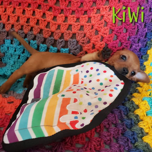 Kiwi