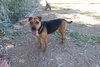 Cactus Jack - Photo 3