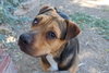 Cactus Jack - Photo 4