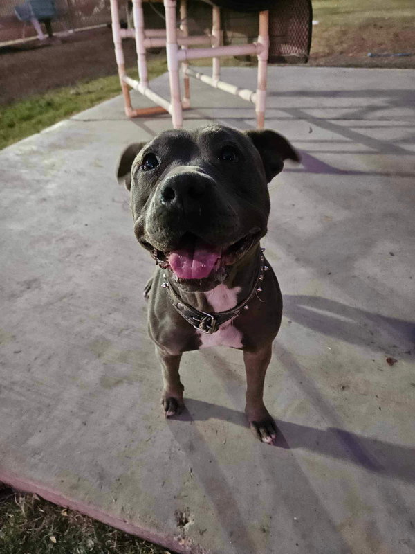 Roxy