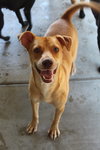 Phineas - Photo 1