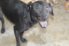 Wanda - Photo 2