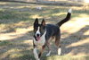 Monty - Photo 3
