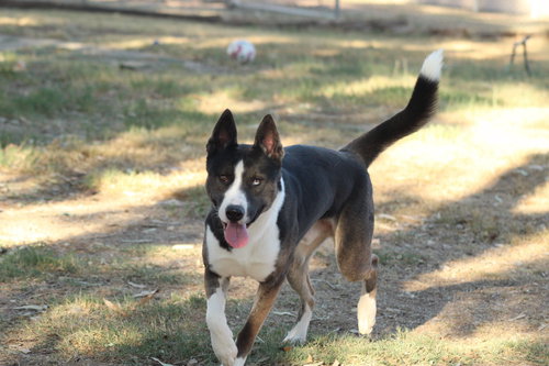 Photo 3 of Monty