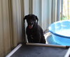 Happy - Photo 1