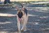 Hubie - Photo 1