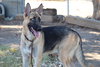 Hubie - Photo 2