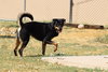 Lurch - Photo 2