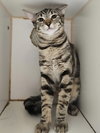 Lennox - Photo 1