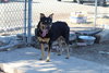 Echo - Photo 1