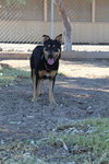 Echo - Photo 2