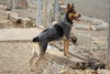 Minerva - Photo 2