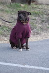 Axel - Photo 2