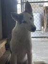 Timber - Photo 1
