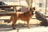 Greta - Photo 2