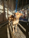 Darnell - Photo 3