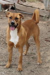 Ralph - Photo 2