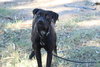 Tia - Photo 1