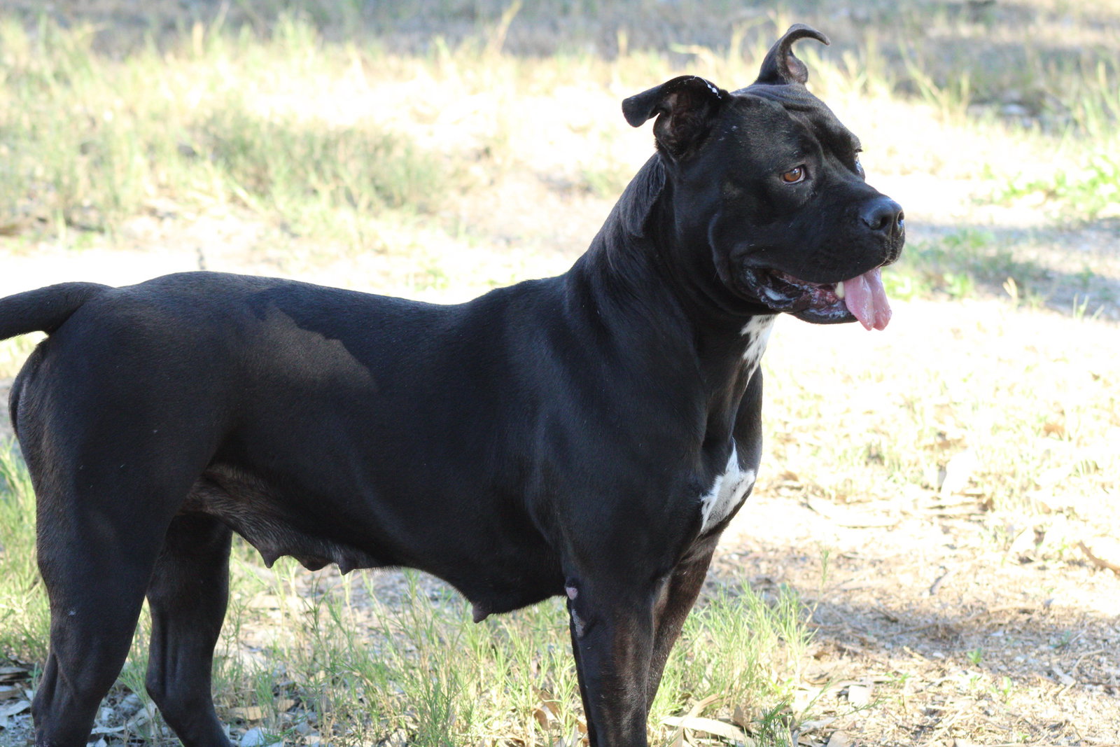Rita Image